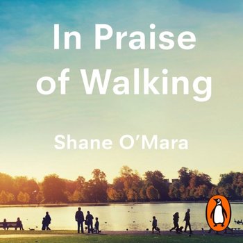 In Praise of Walking - O'Mara Shane