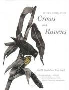 In the Company of Crows and Ravens Marzluff John M., Angell Tony