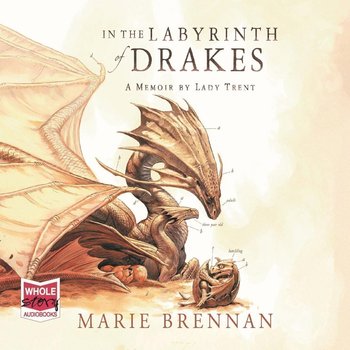 In the Labyrinth of Drakes - Marie Brennan