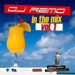 In The Mix. Volume 1 - DJ Remo
