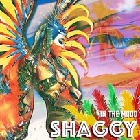In the Mood Shaggy