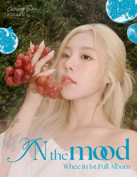 In The Mood (Photobook Ver.) - Whee In (Mamamoo)