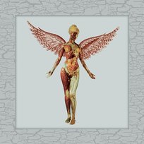 In Utero 30th Live Nirvana