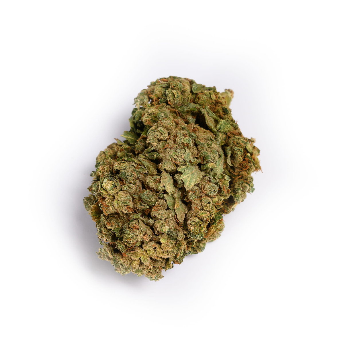 Incannation, Susz Konopny Cbd Critical Plus 1g 15% Real Cannabis ...