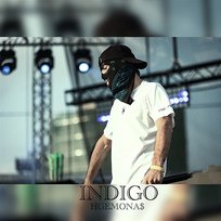 INDIGO HGEMONA$