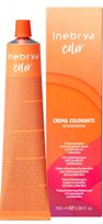 Inebrya, Color 4/9 Farba, 100ml Inebrya