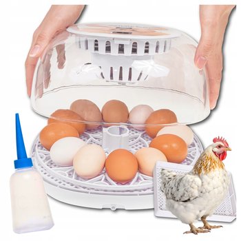 Inkubator Automatyczny do wylęgu 12 jaj Wylęgarka Klujnik do wylęgu Drobiu - Zlaro
