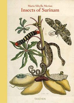 Insects of Surinam - Merian Maria Sibylla