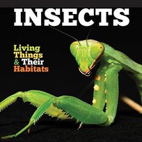 Insects Jones Grace