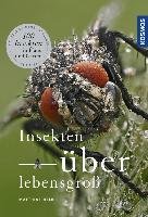 Insekten überlebensgroß - Helb Matthias