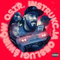 Instrukcja obsługi świrów - O.S.T.R.
