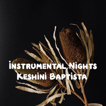 Instrumental Nights - Keshini Baptista