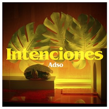 Intenciones - ADSO