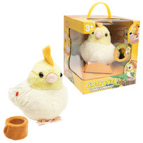 Interaktywna Papuga - Twój gadający towarzysz