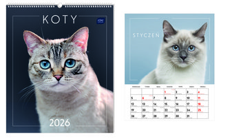 Interdruk, Kalendarz ścienny planszowy 33,5x40cm Koty - Interdruk