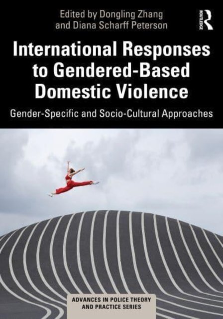 International Responses To Gendered-Based Domestic Violence: Gender ...