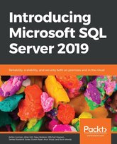 Introducing Microsoft SQL Server 2019 - ebook epub Arun Sirpal, Dustin Ryan, James Rowland-Jones, Pearson Mitchell, Buck Woody, Dave Noderer, Allan Hirt, Kellyn Gorman