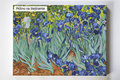Irysy Van Gogh, Vincent, kwiaty, irys, malowanie po numerach - Akrylowo