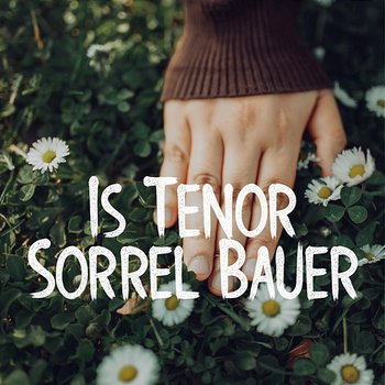 Is Tenor - Sorrel Bauer