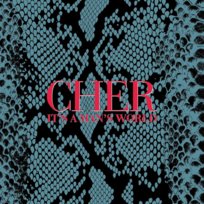 It's a Man's World (brilliant box) Cher