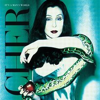 It's a Man's World Cher