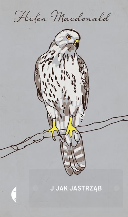 J jak jastrząb-Zdjęcie-0