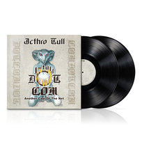 J-Tull Dot Com: Another Cast Of The Net, płyta winylowa Jethro Tull