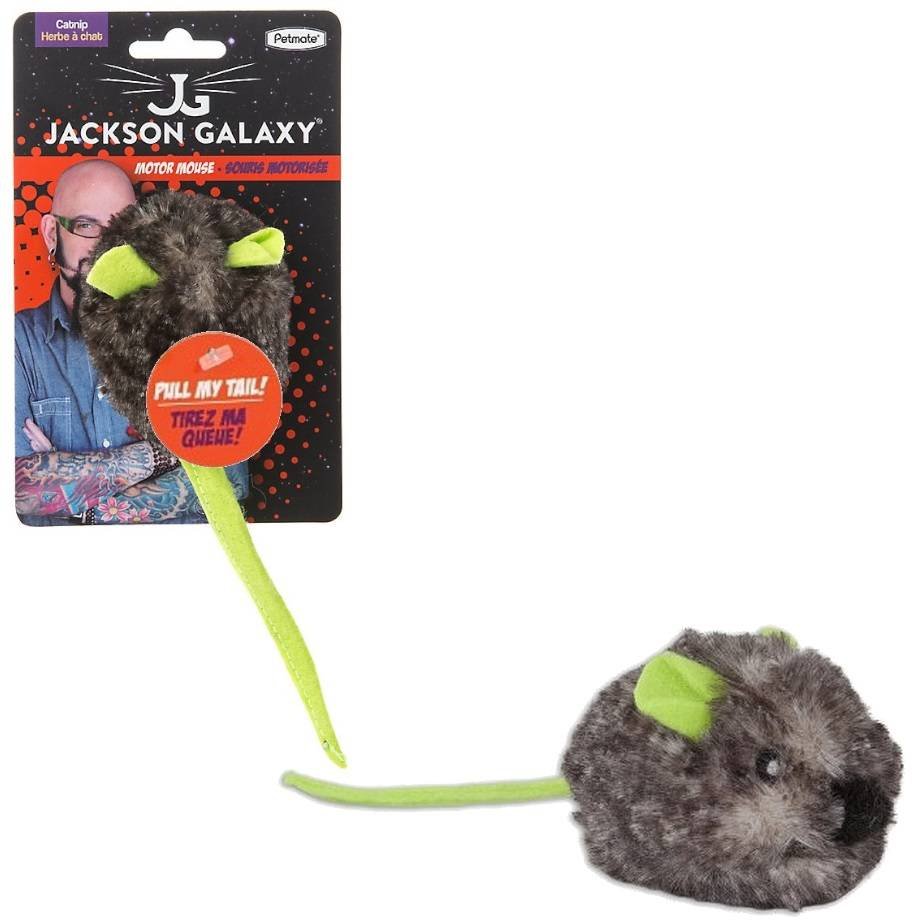 Jackson galaxy motor mouse best sale