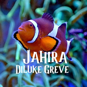 Jahira - Diluke Greve