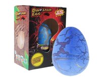 Jajko Jajo Dinozaura Wykluwający Dinozaur Rośnie