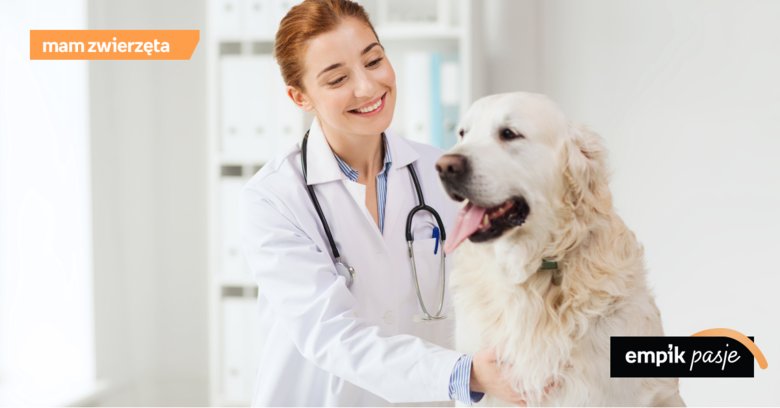 Jak dbać o zdrowie psa?