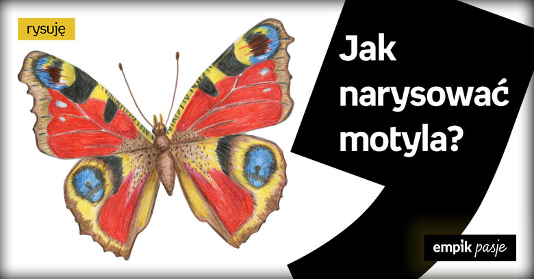 Jak narysować motyla krok po kroku