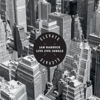 Jan Harbeck Live Jive Jungle Elevate Harbeck Jan