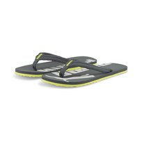 Japonki męskie Puma Epic Flip V2 szare 36024858-39 Puma