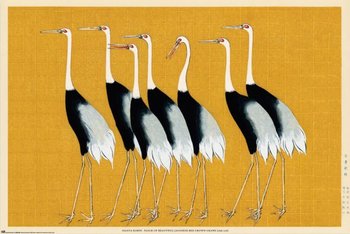 Japońskie Żurawie - plakat 91,5x61 cm - Grupo Erik