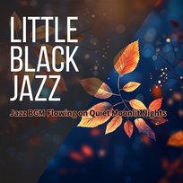 Jazz Bgm Flowing on Quiet Moonlit Nights Little Black Jazz