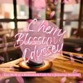 Jazz Bgm in a Refreshing Cafe for a Relaxing Moment - Cherry Blossom Odyssey