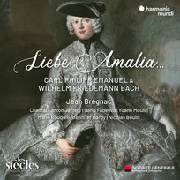 Jean Bregnac, Chantal Santon Jeffery, Nicolas Bouils, Marie Rouquie Liebe Amalia… Bregnac Jean, Bouils Nicolas, Jeffery Chantal Santon, Rouquie Marie