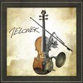Jelonek - Jelonek