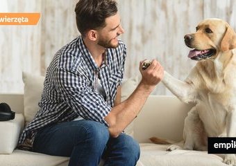 Jesteś właścicielem psa czy jego opiekunem?