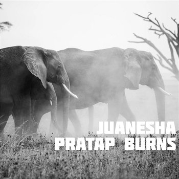 Juanesha - Pratap Burns
