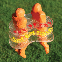 Jump Rope Gazers The Beths