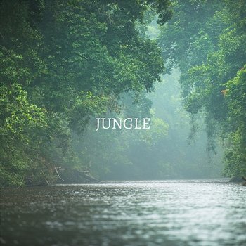 Jungle - Larry Childs