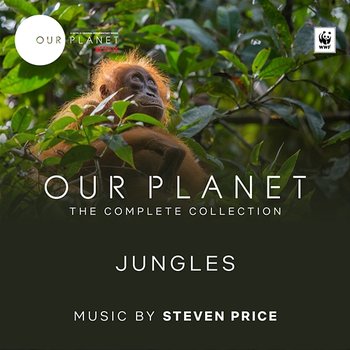 Jungles - Steven Price