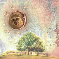 Just Like Heaven NewDad