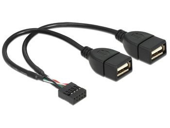 Kabel USB 2.0 10 pin header - 2 x USB-A 2.0 DELOCK, 0.2 m - Delock
