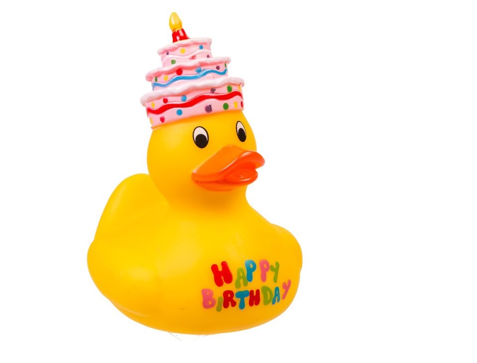 Kaczuszka do kąpieli, Happy Birthday