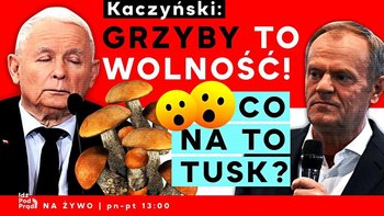 Kaczyński: Grzyby to wolność! Co na to Tusk? - Idź Pod Prąd Nowości - podcast - Opracowanie zbiorowe