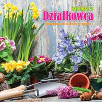 Inne tego producenta