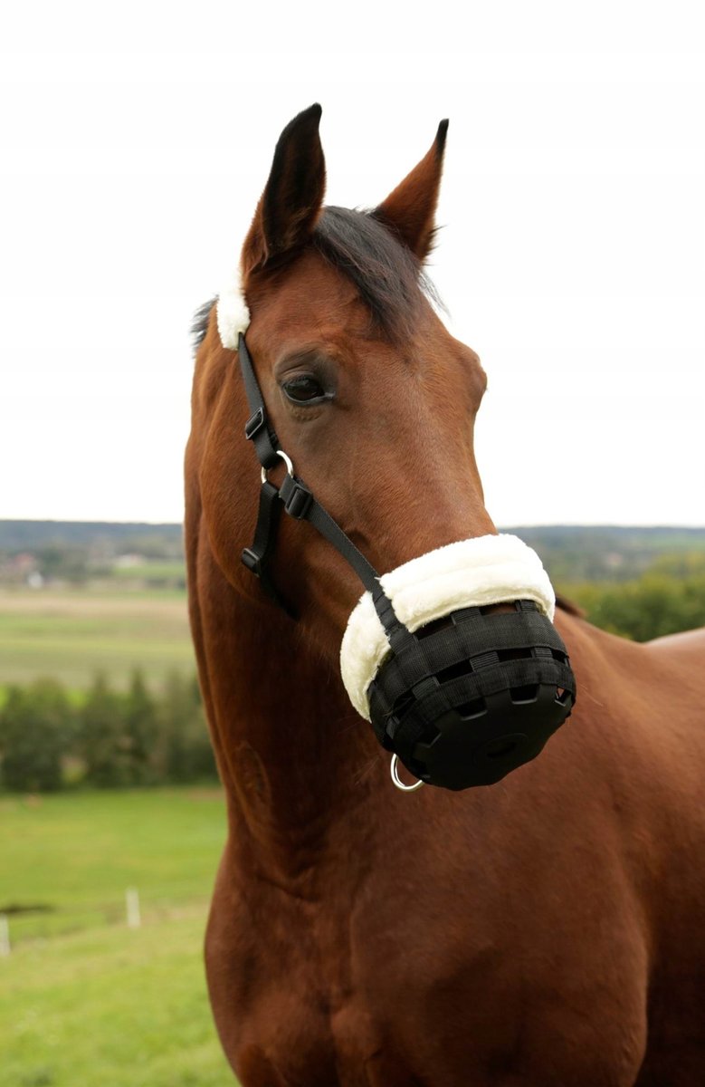 Ceinture De Longe Waldhausen Teddyfleece Noire - Pour Poney, Shetland, Cheval (taille WB)